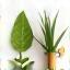 Icon representing garden and horticultural supplies